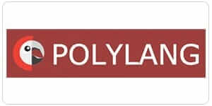 Polylang Pro
